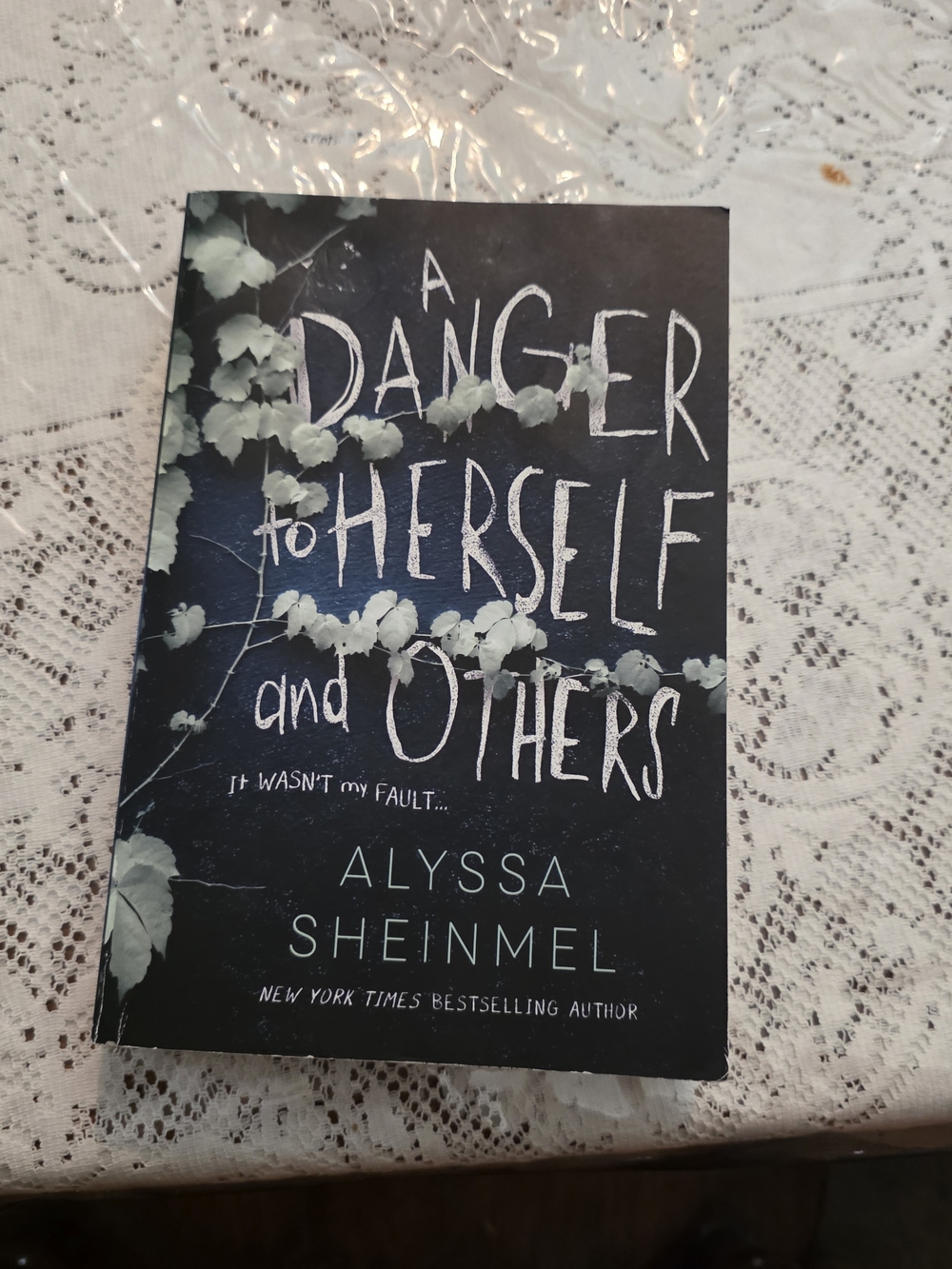A Danger to Herself and Others by Alyssa Sheinmel ,Dark Blue & White Paperback